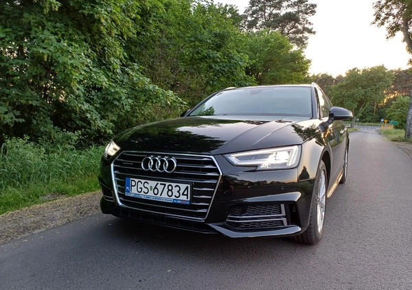 Audi A4 cena 109900 przebieg: 58000, rok produkcji 2019 z Gostyń małe 704